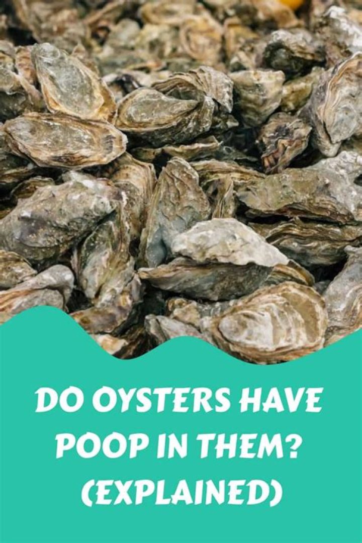 do oysters make you poop