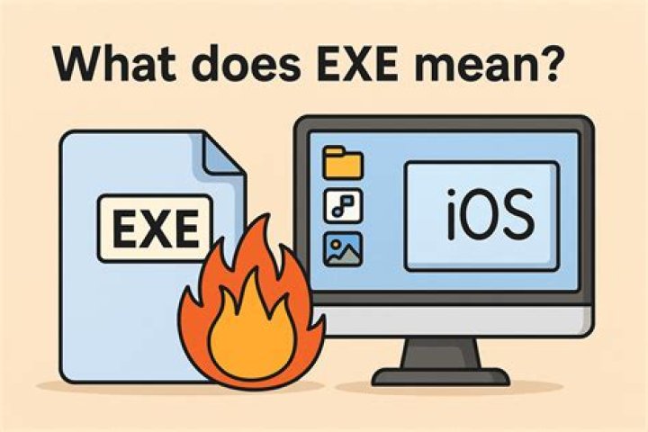 what does exe mean in sonic